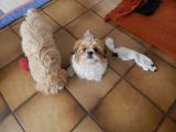 Vorschaubild 1