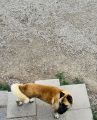 Vorschaubild 3