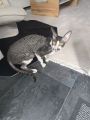 Vorschaubild 2