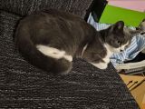 Vorschaubild 3