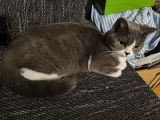 Vorschaubild 5