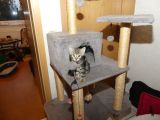 Vorschaubild 1