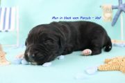Vorschaubild 7