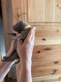 Vorschaubild 7