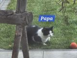 Vorschaubild 6