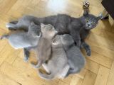 Vorschaubild 8