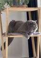 Vorschaubild 3