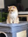 Vorschaubild 5