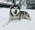Vorschaubild 6
