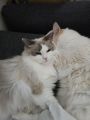 Vorschaubild 5