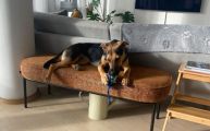 Vorschaubild 5