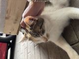 Vorschaubild 9