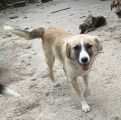 Vorschaubild 6