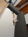 Vorschaubild 2