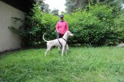 Vorschaubild 5