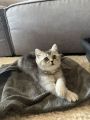 Vorschaubild 6