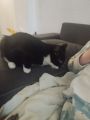Vorschaubild 1