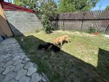 Vorschaubild 5
