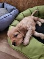 Vorschaubild 4