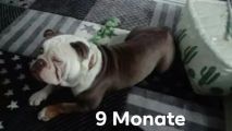 Vorschaubild 10