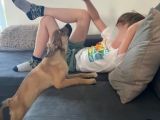 Vorschaubild 3