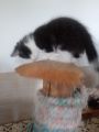Vorschaubild 9