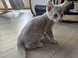 Vorschaubild 6