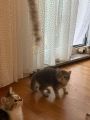 Vorschaubild 8