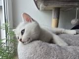 Vorschaubild 8