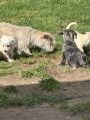 Vorschaubild 7