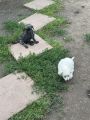 Vorschaubild 5