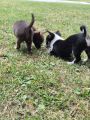 Vorschaubild 6