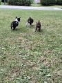 Vorschaubild 7