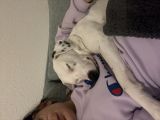 Vorschaubild 3