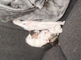 Vorschaubild 3