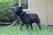 Vorschaubild 2