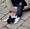 Vorschaubild 4
