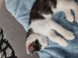 Vorschaubild 5