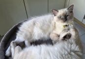 Vorschaubild 3