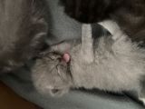 Vorschaubild 5