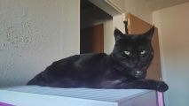 Vorschaubild 6