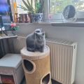 Vorschaubild 1