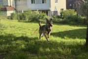 Vorschaubild 2