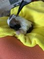 Vorschaubild 8
