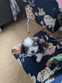 Vorschaubild 7