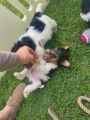 Vorschaubild 9