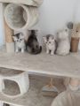 Vorschaubild 8
