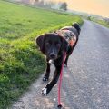 Vorschaubild 7