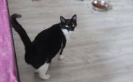 Vorschaubild 1