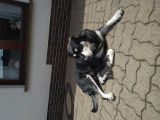 Vorschaubild 3